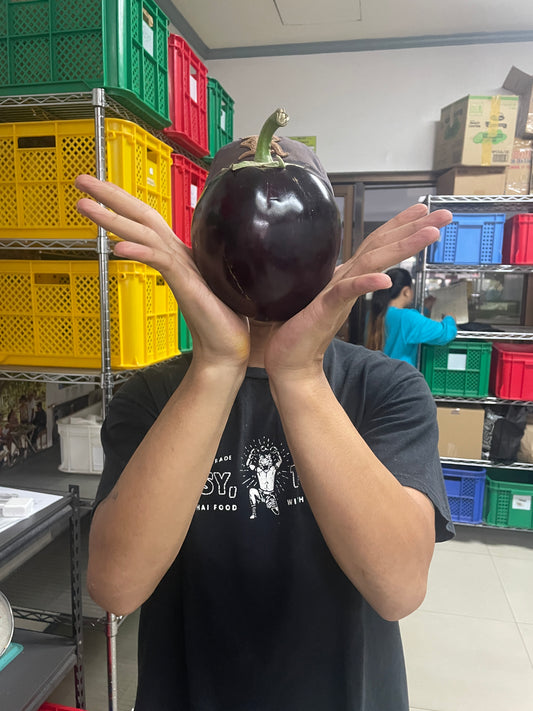 The Mighty Eggplant