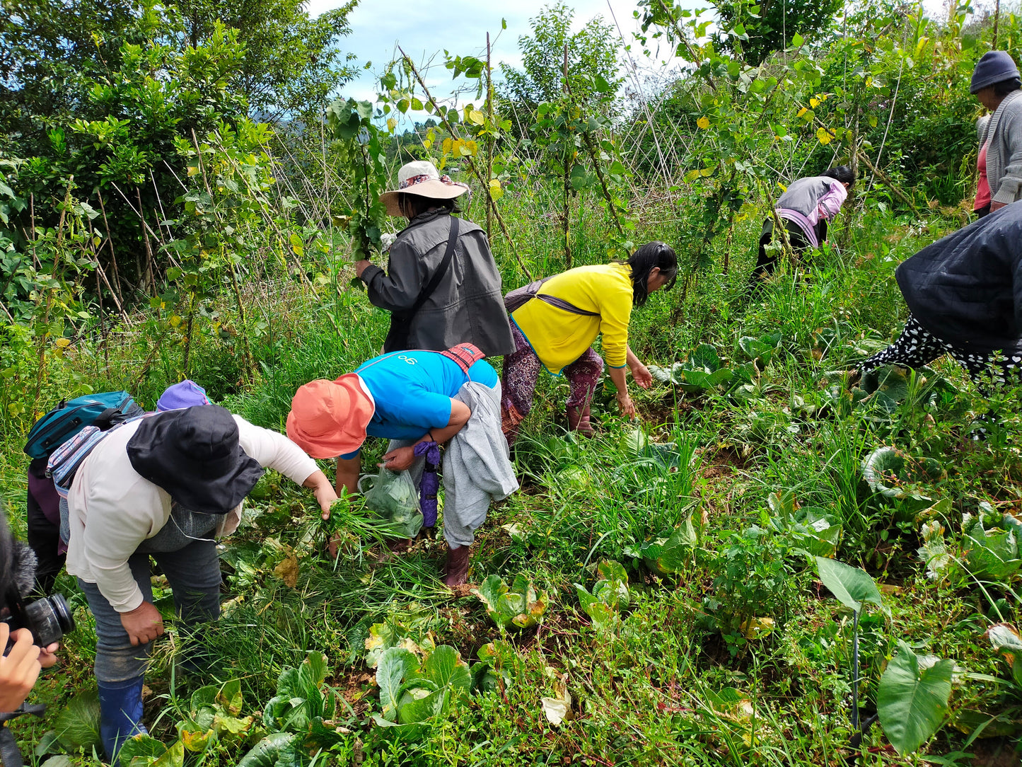 Friends of Farmers Resiliency Fund