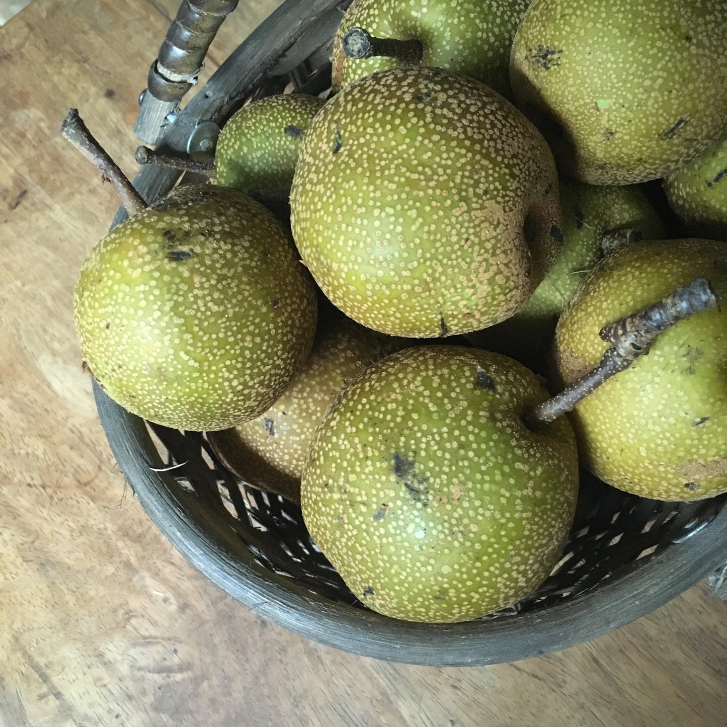 Bauko Pears - Good Food Community