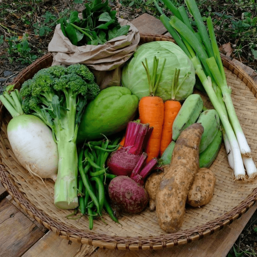 Gulay Pambahay