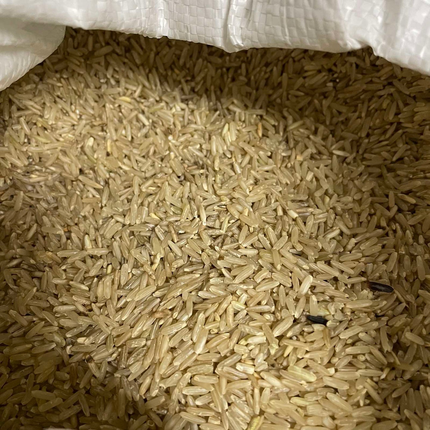 Brown Rice