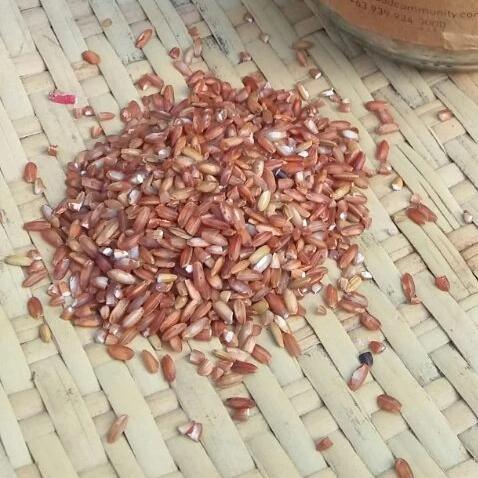 Red Rice - Good Food Community