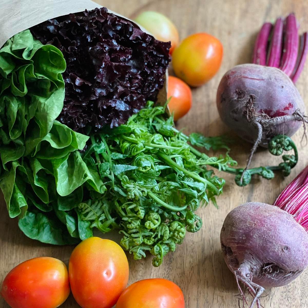 Salad Pack - Good Food Community