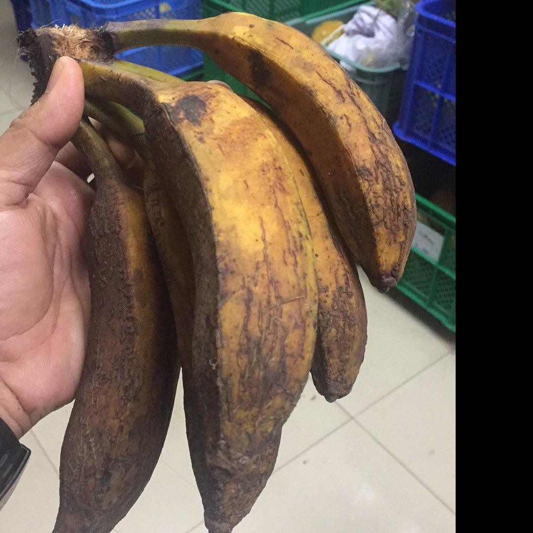 Bulkang Saba Banana - Good Food Community