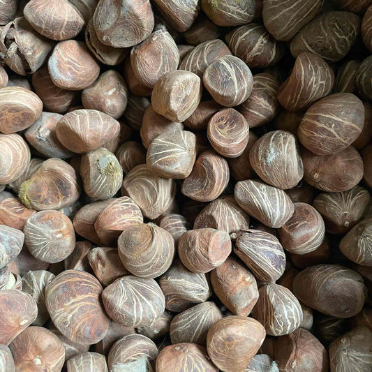 Chestnuts