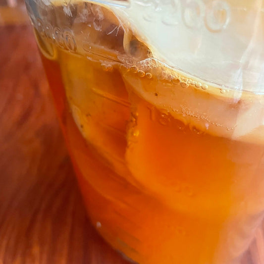 FermentNation Workshop: Kombucha