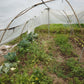Friends of Farmers Resiliency Fund