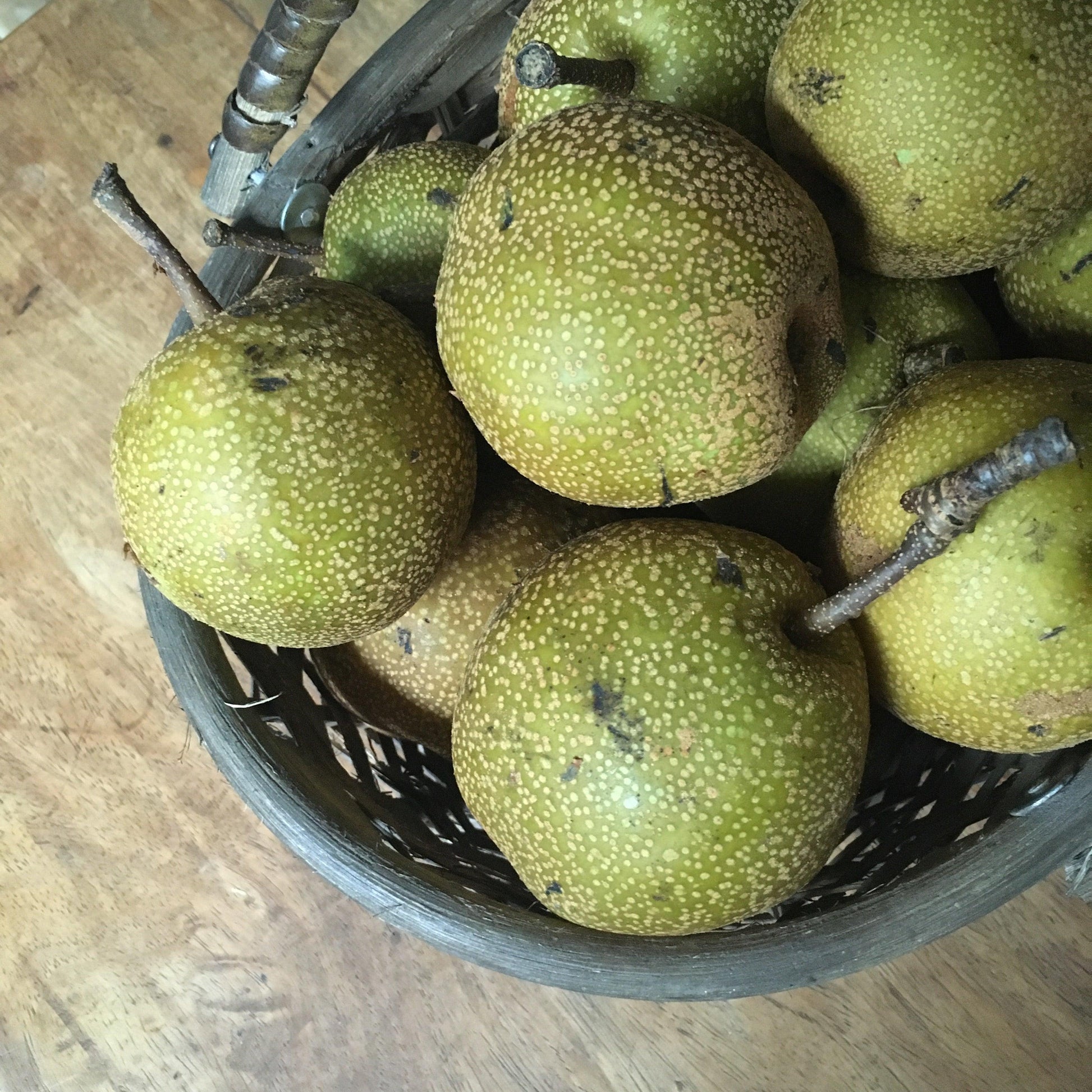 Bauko Pears - Good Food Community