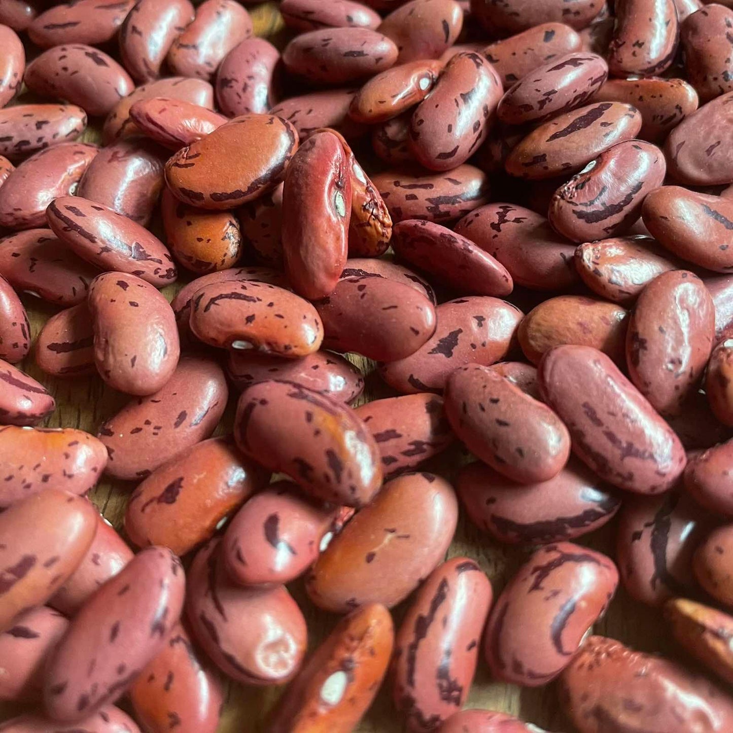 Dried Beans - Good Food Community