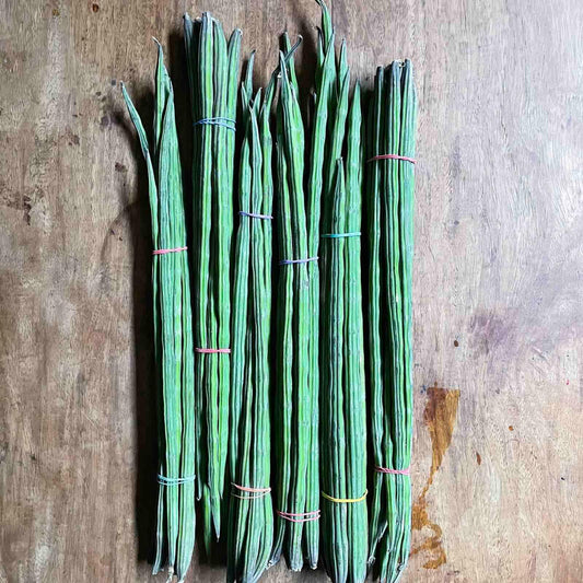 Bunga ng Malunggay - Good Food Community