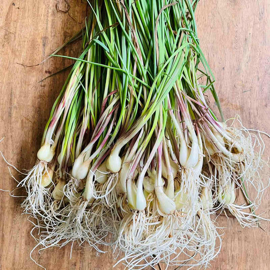 Chives - Good Food Community