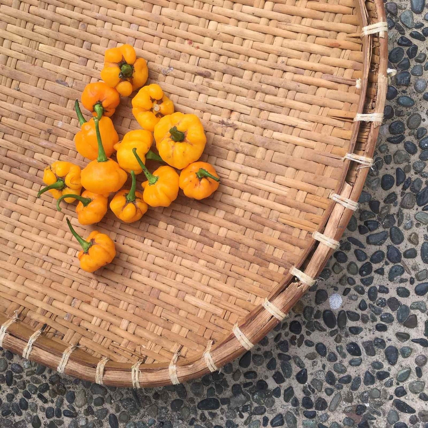 Habañero Peppers - Good Food Community