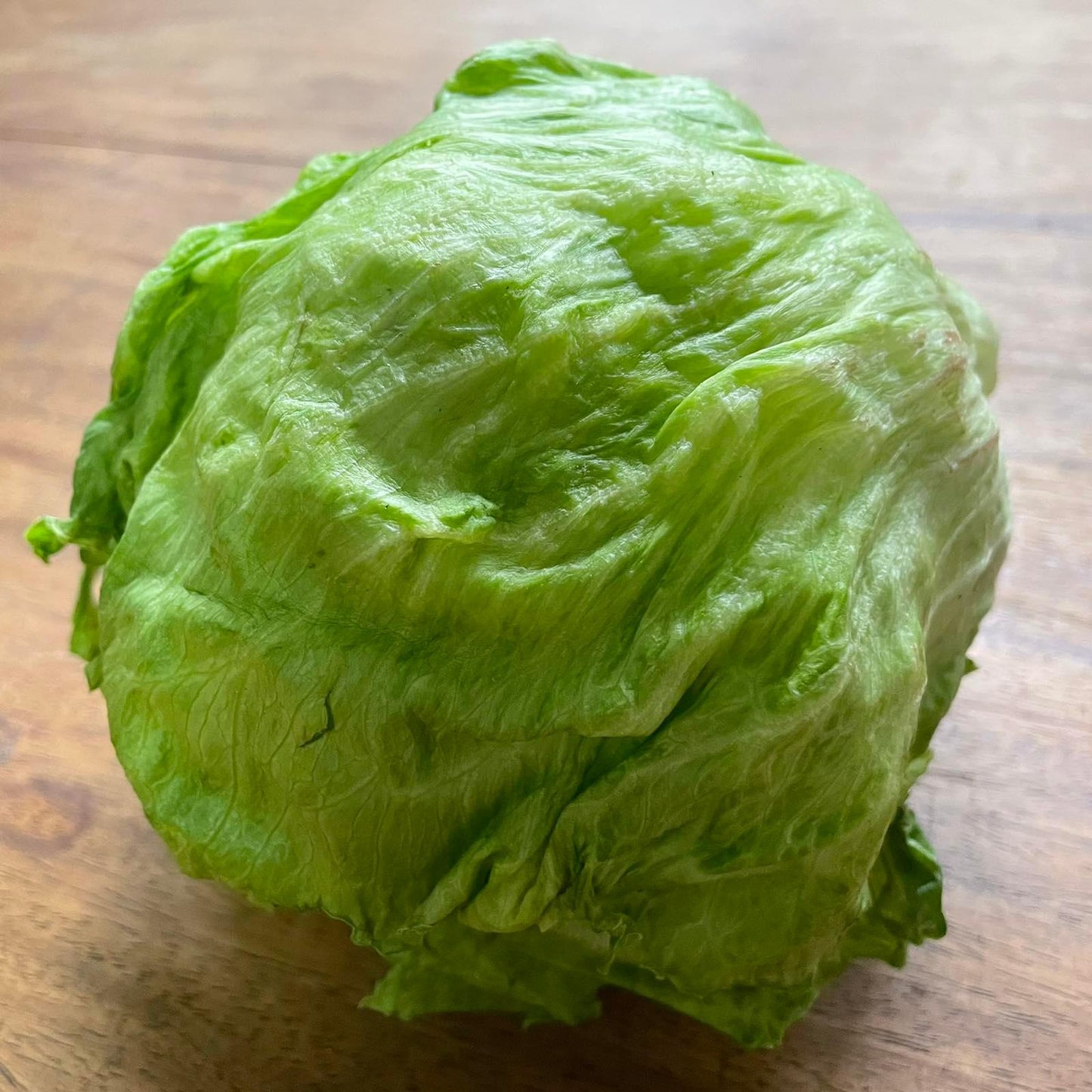 Iceberg Lettuce - Good Food Community