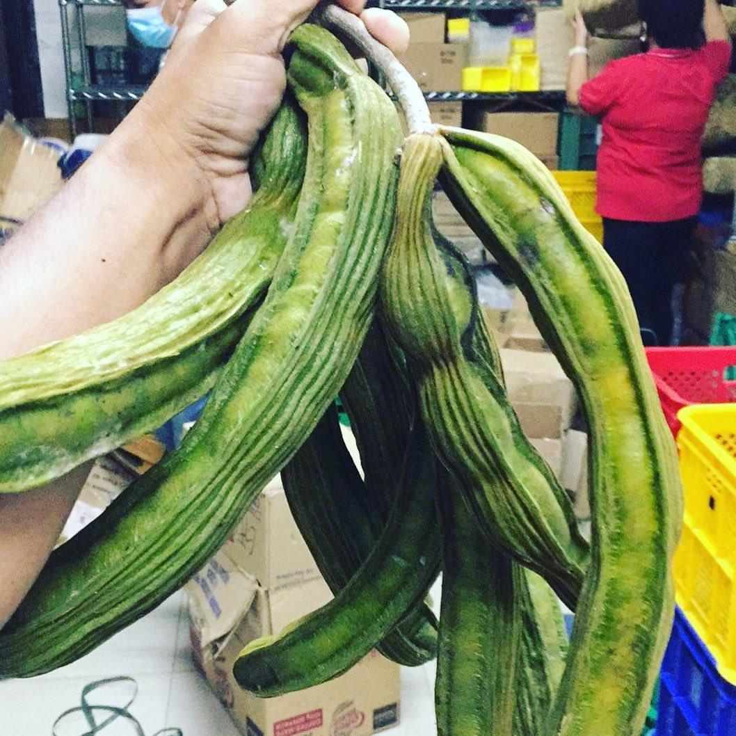 Ice Cream Beans - Good Food Community