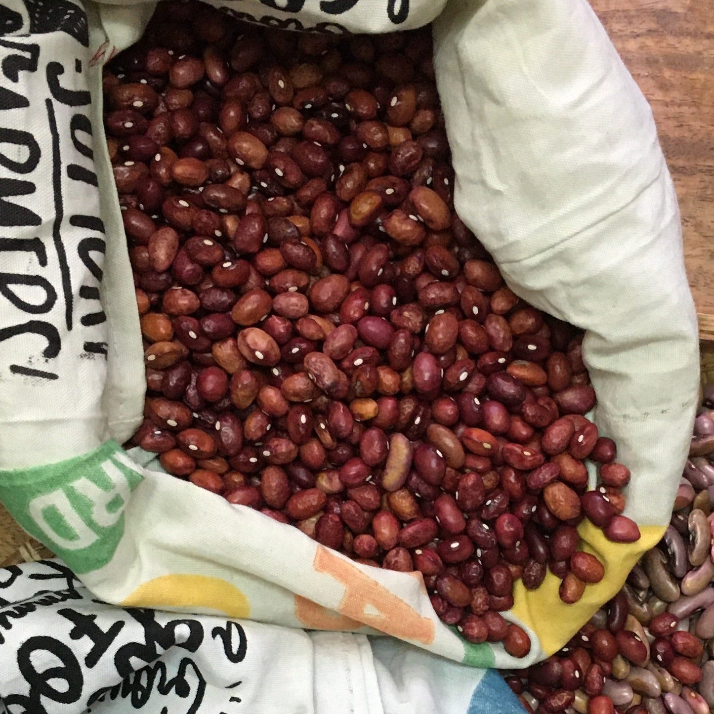 Dried Bauko Beans