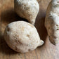 Kamote