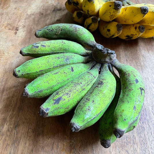 Banana Latundan - Good Food Community