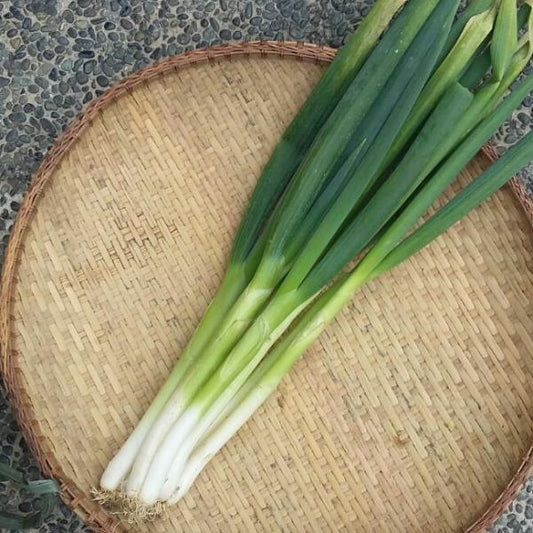 Onion Leeks - Good Food Community