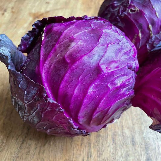 Red Cabbage
