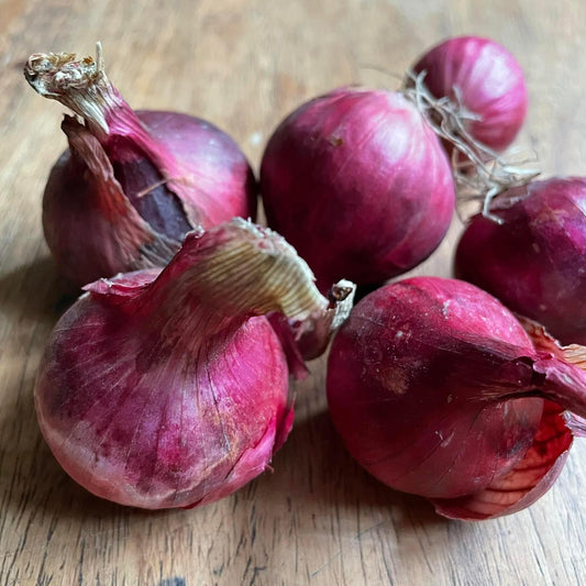 Red Onion - Good Food Community