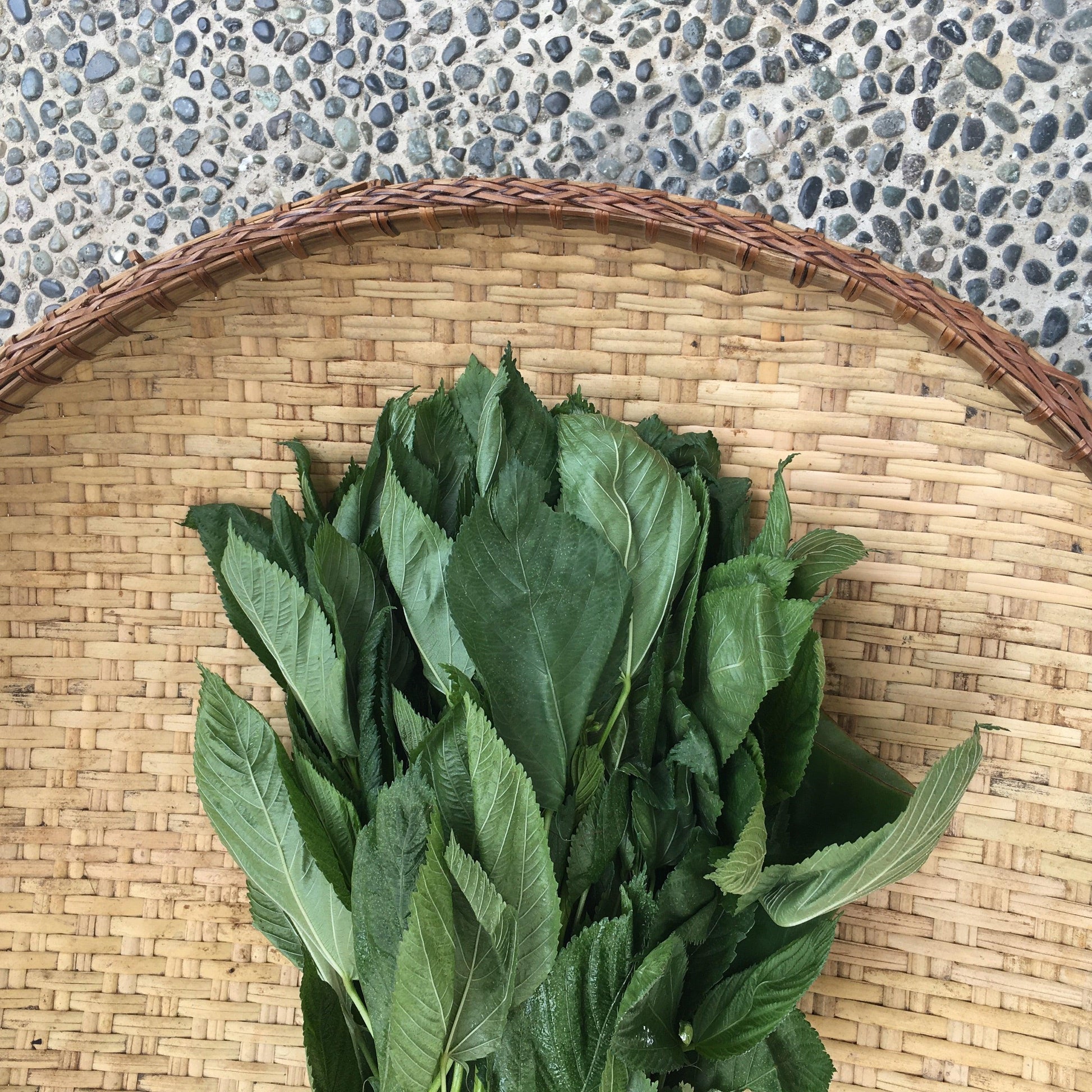Saluyot - Good Food Community