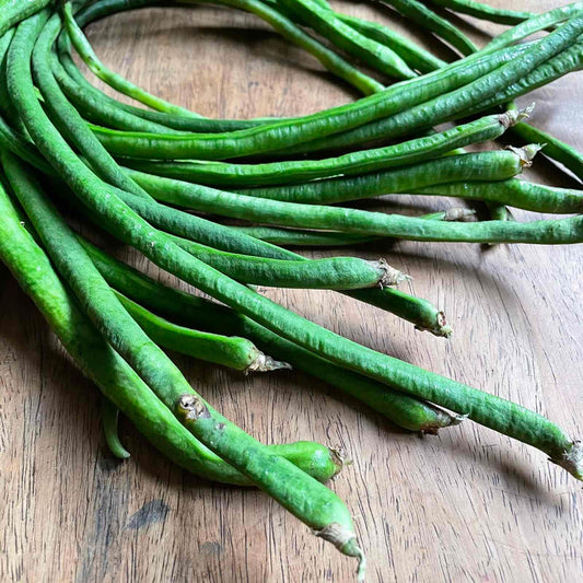 String Beans. Sitaw - Good Food Community