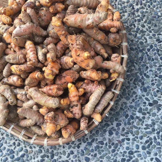 Turmeric - Good Food Community