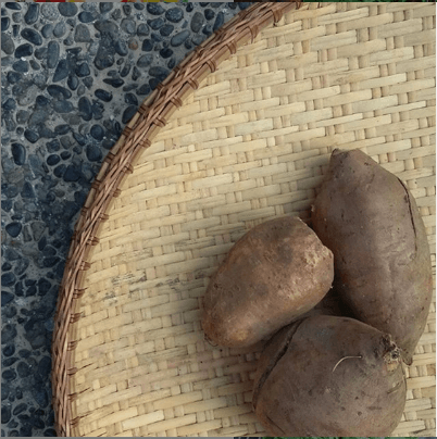Yacon - Good Food Community